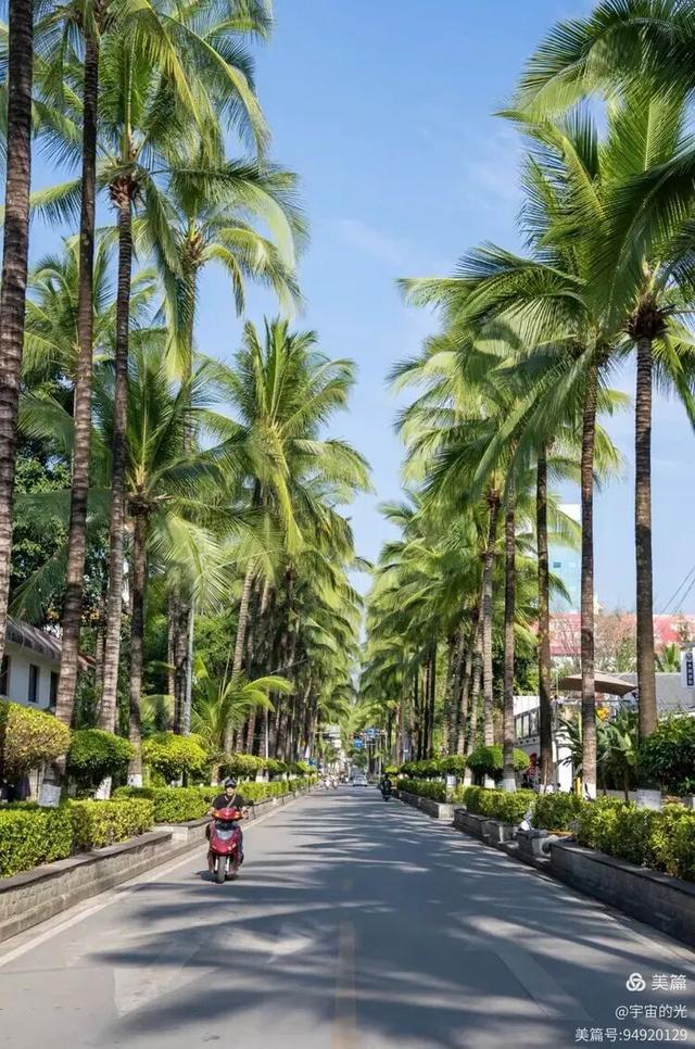 被世界推荐的旅游圣地~西双版纳之行随想