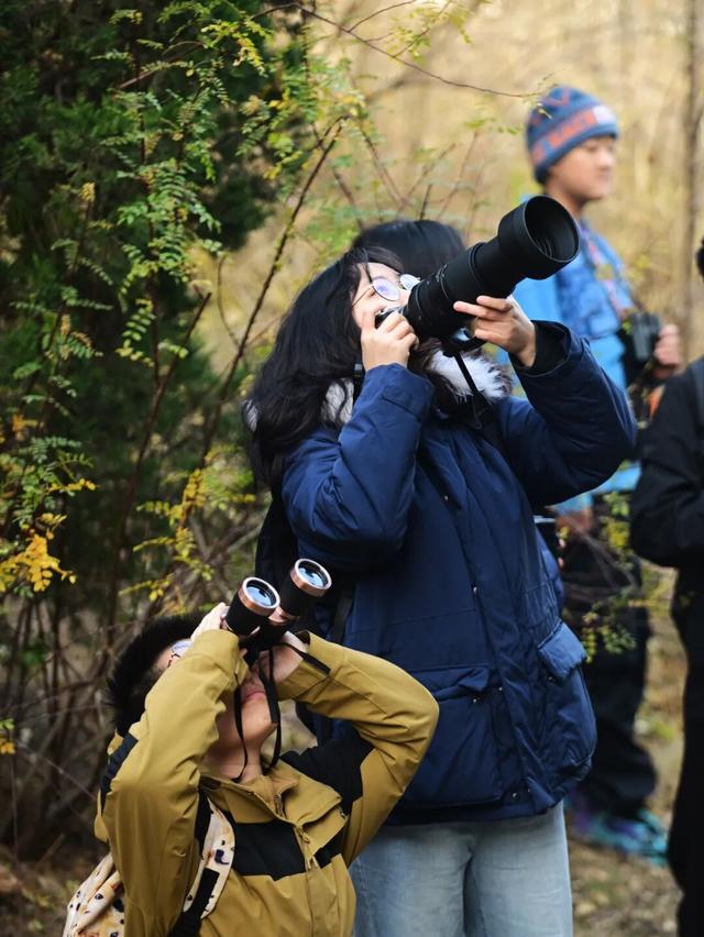 观鸟不必远行，“家门口”就能满足！