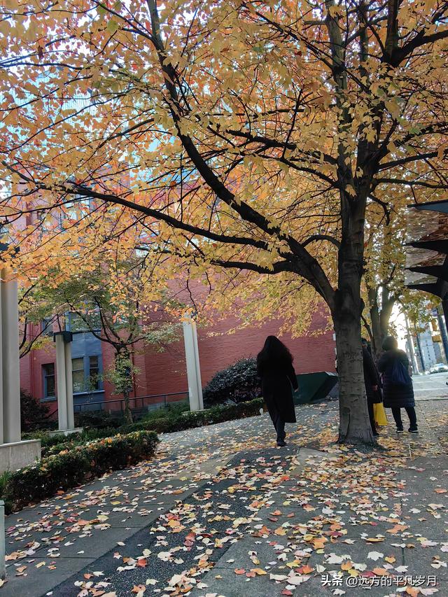 温哥华游记（一）