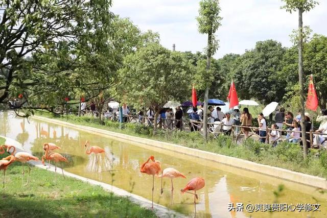 修文“双节”文旅大餐精彩纷呈