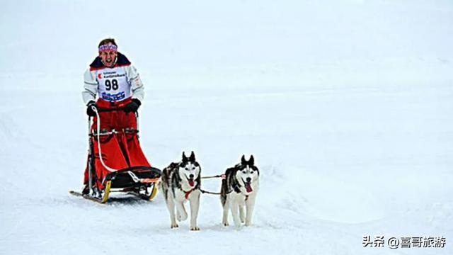 穿梭冰雪童话：哈尔滨雪橇梦幻之旅