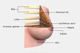 查出乳腺结节是4A，是观蔡还是手术，四个黄金建议图片