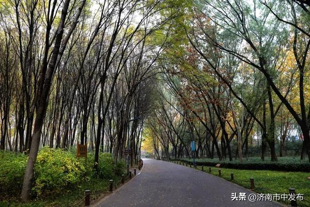 全免费！济南5个能待一天的公园推荐！散步遛娃好去处~