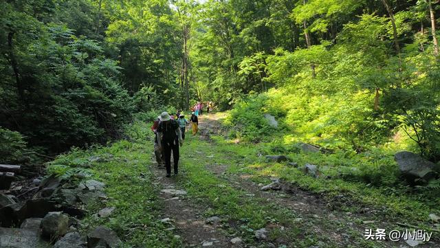 两次本溪南岭徒步记｜高山草甸，湖池松林，我被南岭种草