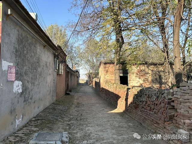 冠县乡韵·贾镇岑庄