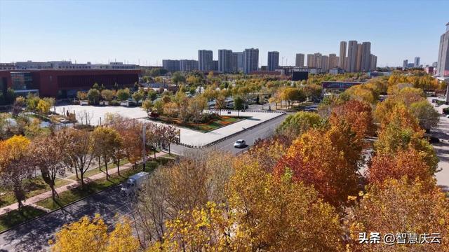 快去拍！秋天把庆云点缀成诗了！