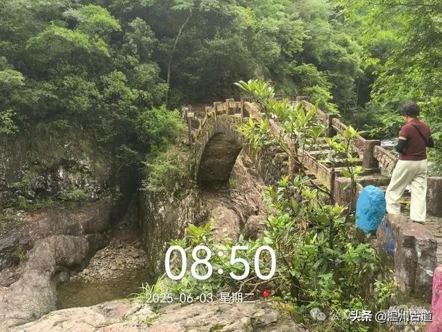 温州这个亲子游玩胜地、植物自然课堂孩子玩嗨家长不累