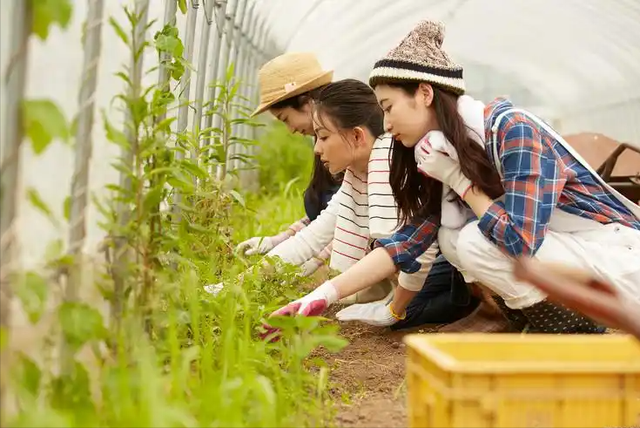 斯坦福大学研究发现：体力劳动较多的女性，卵子质量或会更高？