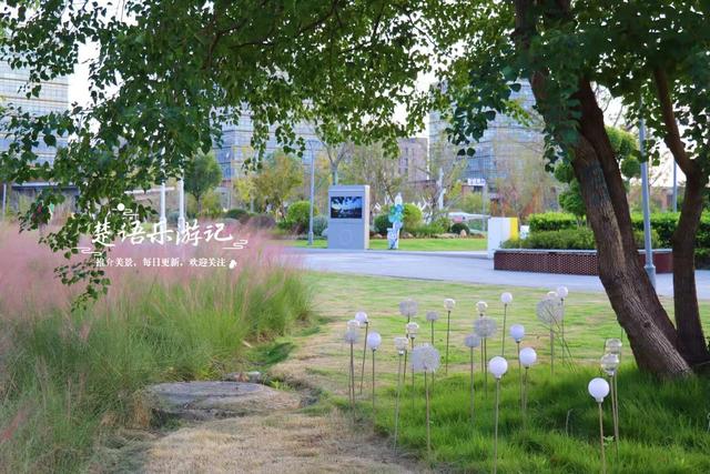 宁波镇海又发现一处粉黛园，临湖而居景色更秀丽，周边美景更多