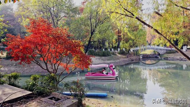 霜影下的城市绯霞