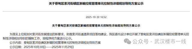 大手笔！武汉将再添一座世界级规划！