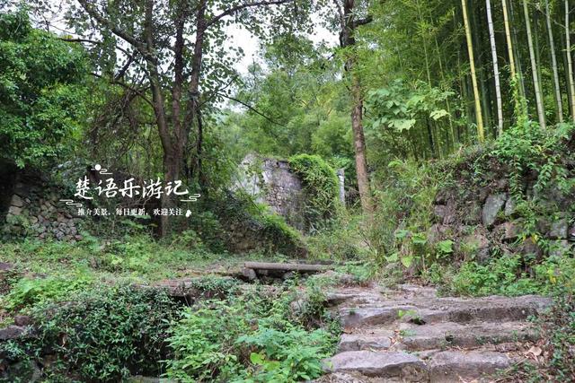 宁波奉化由九龙传说得名的山村，既如世外桃源又如绿野仙踪，真美