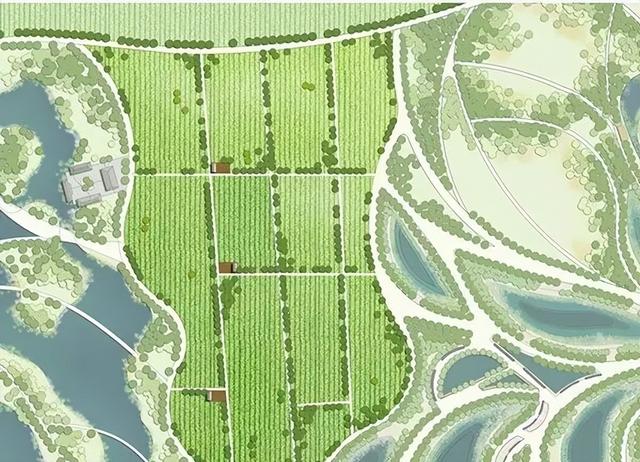 丹阳要建练湖文化公园：从千年水柜到城市文化客厅的复兴之路