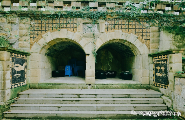 北碚公园竟是"大熊猫"命名地，原来藏着这么多秘密