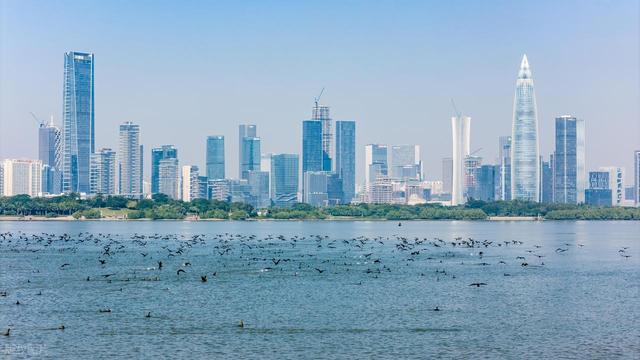 不要门票！深圳看海6个免费好去处，打卡绝美海景，本地人也常去