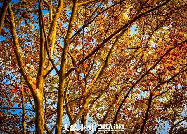 玩转贵安丨走！去贵安新区二十六厂晒太阳