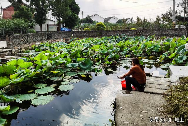 桃源村走马鿍：因位于清太平军养马处的这边而得名的小村庄