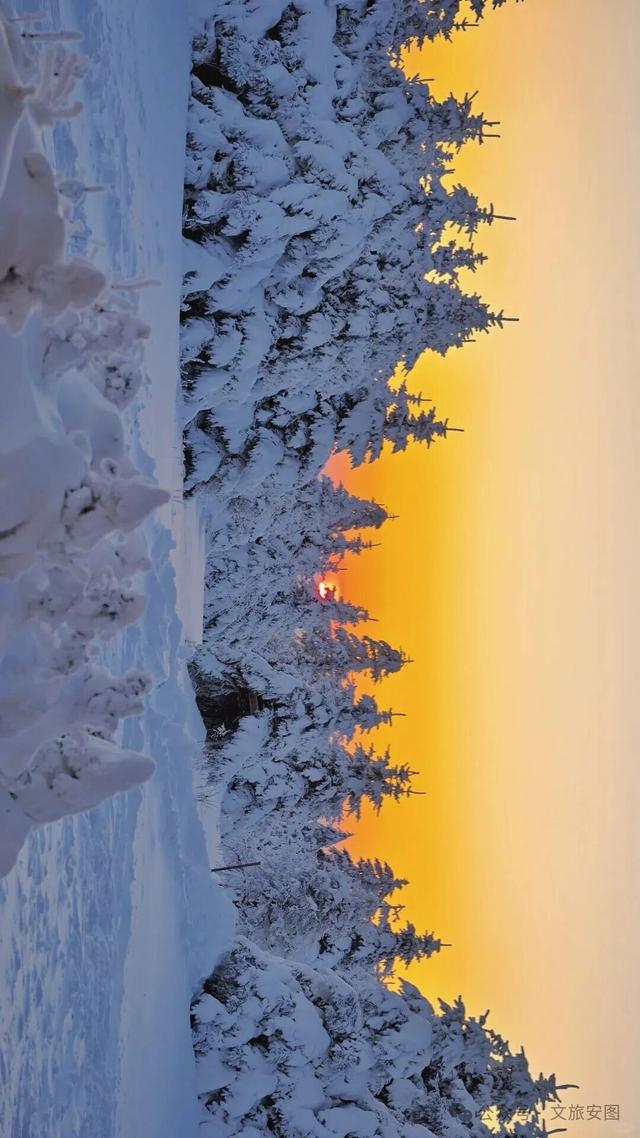 时逢大雪，安图约你围炉赏雪