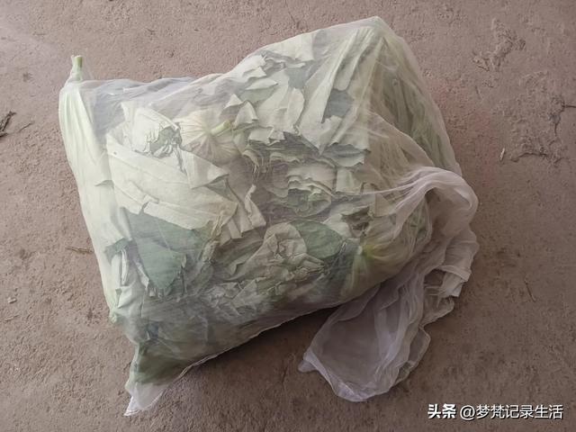 我最近热衷废墟游因为多少总会有收获,加油!我的胜利已近在眼前