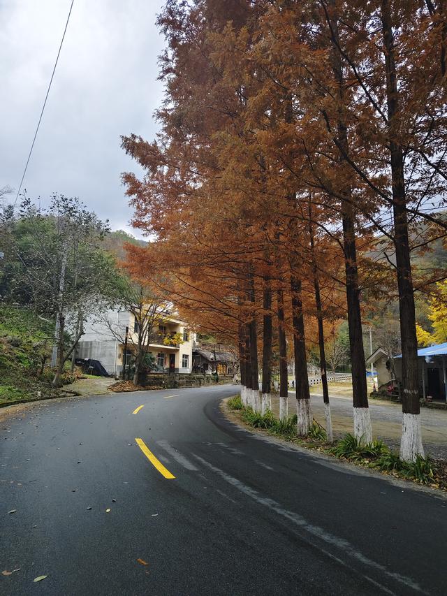 南行漫记：329公里的穿越之路，带你一起看红叶