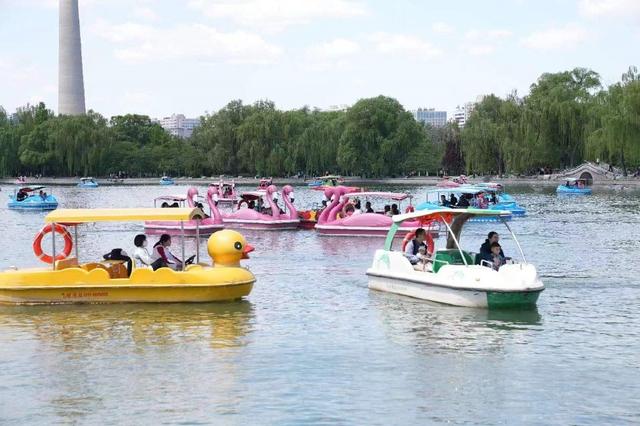 北京玉渊潭公园 樱花漫舞的诗意秘境