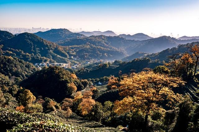 碎石坡、观景台与牵手下山的路：杭州半山野径亲子徒步记