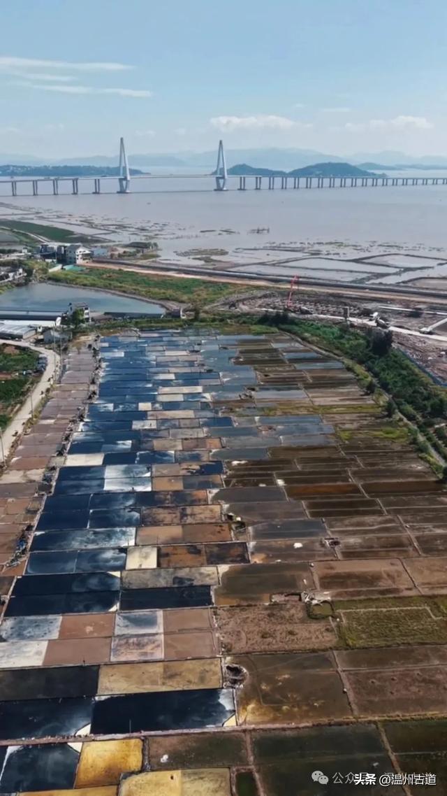 沧海桑田，温州那最后的盐田，你去过吗！