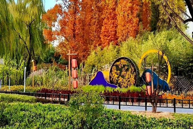 父母在人生尚有来处，父母去人生只剩归途。读懂这句话，需要多久