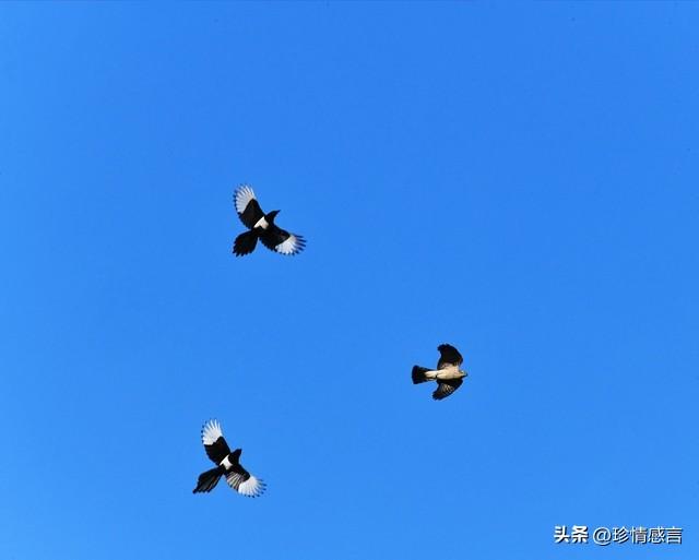两性关系：60岁大姐的大实话，男人过了65岁，只剩下一个“用处”