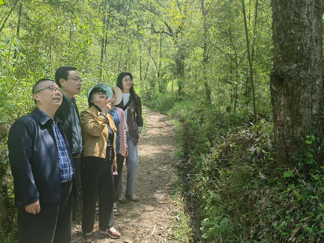 显后村：一个作家的采访掠影