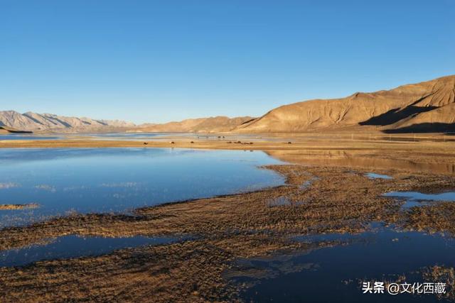 世界级风景，全部0元！西藏阿里这份“免费景点”清单请收好！