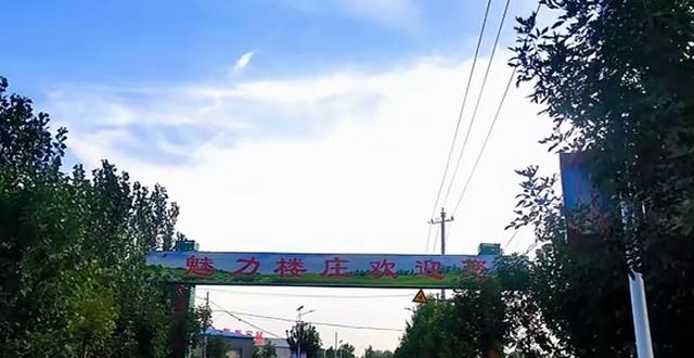 魅力曹县楼庄镇