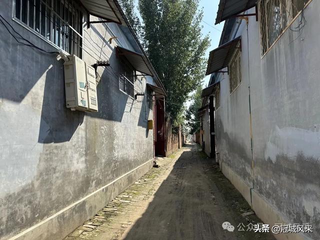 冠县乡韵·兰沃乡大柳邵村