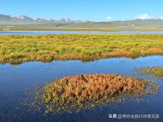 甘南旅游14景（上），拍摄特色照片并题诗赞之
