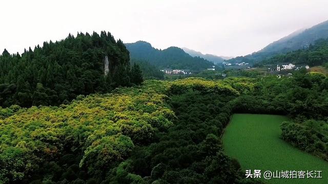 重庆新设两江新区，北碚“换”来5个文旅宝藏，到底是赚还是亏？