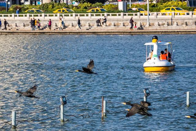 国家生态文明示范区系列报道丨于城市之心,写共生之诗