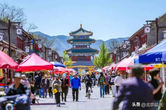 延庆:你可能不认识我 但你一定听说过——