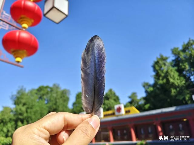 暑假北京行流水vlog(5)——7.17 在京城里东奔那个西走