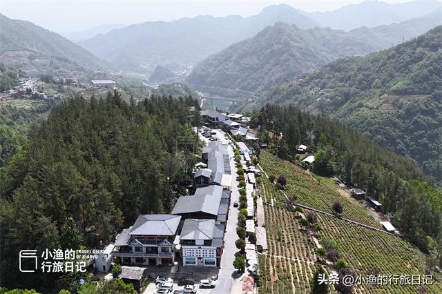 西安出发3h，陕川交界“小重庆”，超治愈的高山茶园！风景绝了