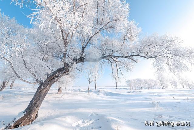 11月7立冬，今年立冬不一般，有2个特点与往年不同，3件事早准备