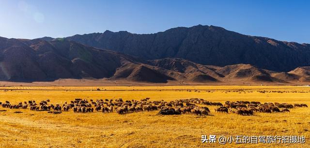 11月旅游的目的地推荐|每一个都是出片圣地的存在