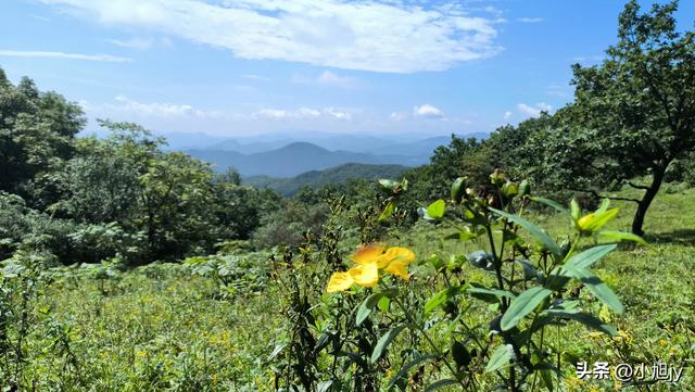 两次本溪南岭徒步记｜高山草甸，湖池松林，我被南岭种草