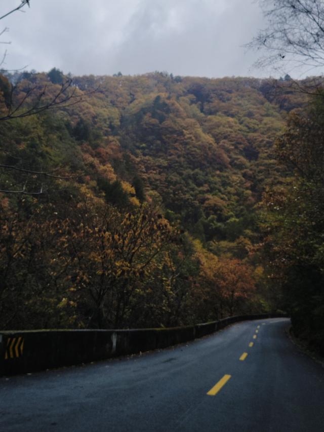 南行漫记：329公里的穿越之路，带你一起看红叶