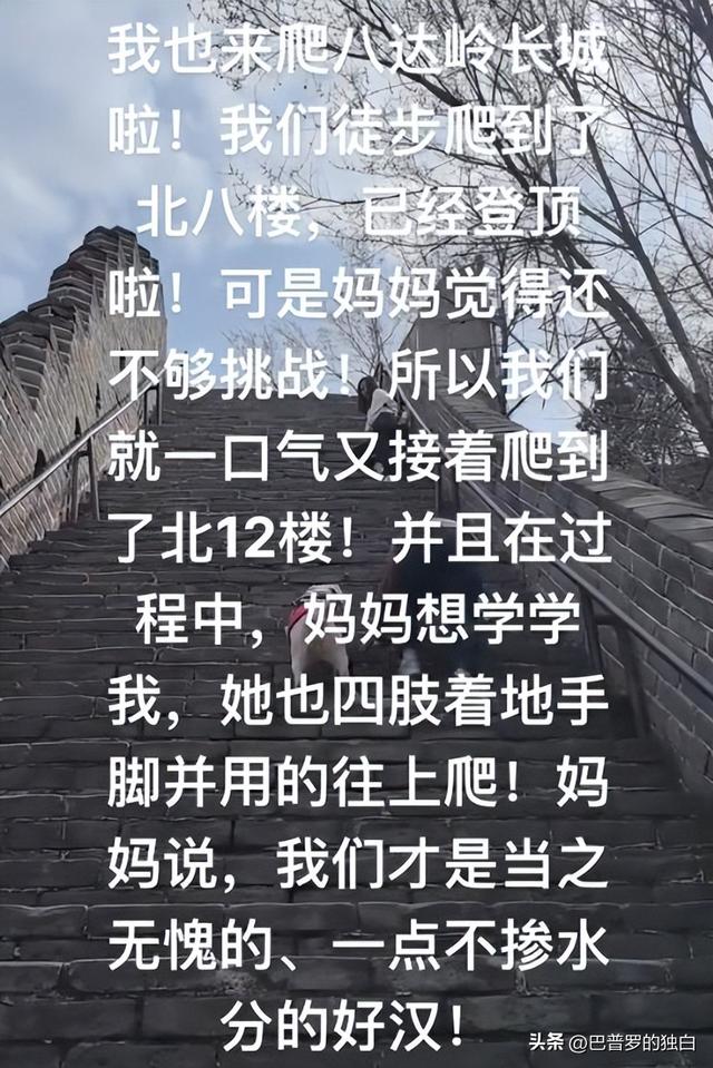 爬泰山的作死夫妻被制裁！导盲犬被收回，身份被扒，家里还有一只