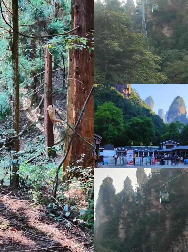 来喽！张家界夏日避暑全攻略，这个夏天不去张家界简直亏大了！