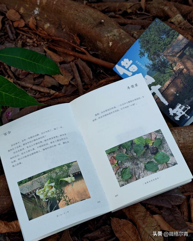 在终南山上隐居十年，是一种什么体验？