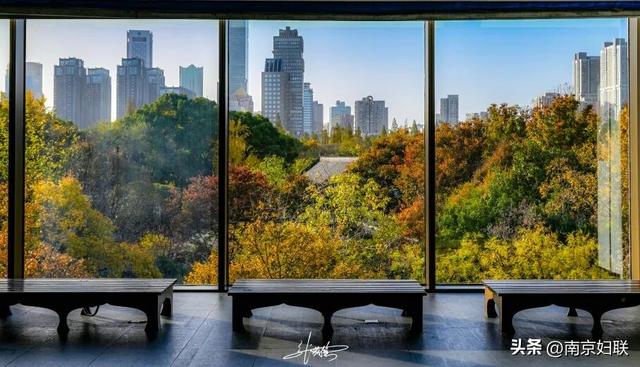南京这些“魔法之窗”，怎么拍都出片！