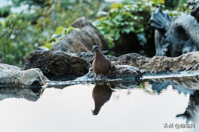 20mm起步的一镜走天下镜头 适马20-200mm F3.5-6.3 DG | C评测