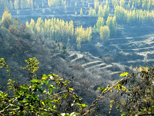 小雪｜冬意初临时，风物成画，岁月如诗