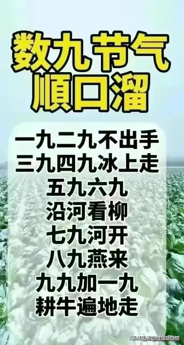 你一定要知道数字代表的含义